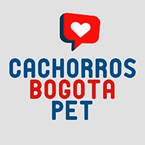 Cachorros Bogota